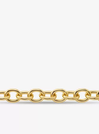 Large Precious Metal-Plated Brass Chain Link Necklace