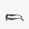 Wilmington Sunglasses Wilmington Sunglasses